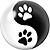 chien camping